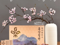 Cách sử dụng hồng sâm lát tẩm mật ong hiệu quả nhất- Hồng Sâm dẻo Punggi Hàn Quốc chính hãng