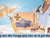 Hồng sâm dẻo Punggi bảo vệ và giải độc gan hiệu quả như thế nào?
